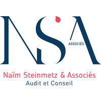 NS Associés (Naïm Steinmetz & Associés) logo - Similar company to 451F
