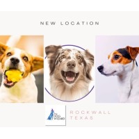 The Dog Wizard logo - Similar company to Speed Data-Ing