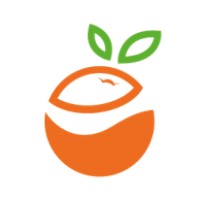 The Floating Orange logo - Similar company to 2Propel B.V.