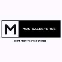 MDN Salesforce Private Limited logo - Similar company to Digiwebgurus