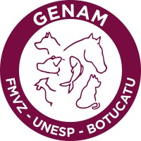 GENAM logo - Similar company to Conapec Jr