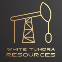 White Tundra Resources Ltd. logo - Similar company to Paradigm Project Management
