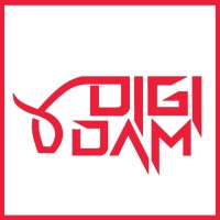 DigiDam logo - Similar company to Meta Cargo Nakliye Taşımacılık Turizm Dış Ticaret Limited Şirketi