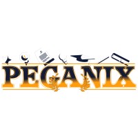 Peganix logo - Similar company to Unisa Enterprise