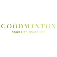 Goodminton AG logo - Similar company to Dreamfight