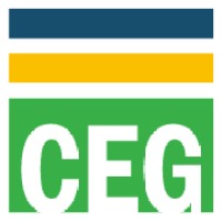 Capital Employment Group logo - Similar company to Vealeocity