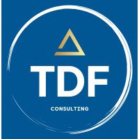 TDF Consulting logo - Similar company to Tfd Consulting, Llc