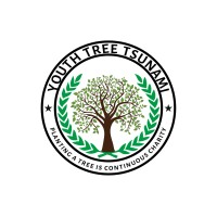 Youth Tree Tsunami logo - Similar company to Multiplizer