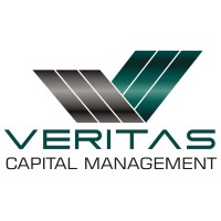 VCM Veritas Capital Management logo - Similar company to Izzidata