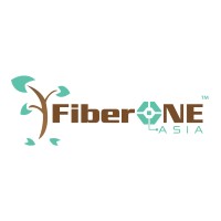 Fiber One Asia Pte Ltd logo - Similar company to One Touch Systems Pte Ltd