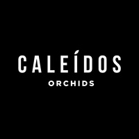 Caleidos Orchids logo - Similar company to Hazeu Orchids