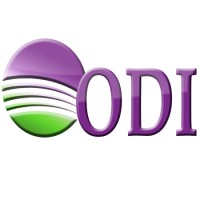 ODI Consulting, Inc. logo - Similar company to Savvy Studios
