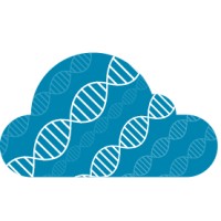 Cloud-SPAN logo - Similar company to Cloud Identity