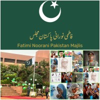 Global Democracy Pakistan GDP4Pakistan logo - Similar company to Digifarm Factory And Technologies