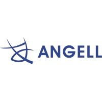 Shenzhen Angell Technology Co., Ltd logo - Similar company to Bevinorte