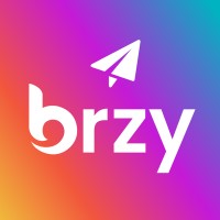 Brzy logo - Similar company to Lamics