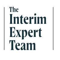 The Interim Expert Team logo - Similar company to Salesdirector.Ai