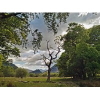 Photostudy logo - Similar company to Assosa University