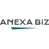 Anexa Biz logo - Similar company to Blue Nuage (Africa) Ltd