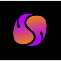 TEAM NW CONSULTORIA ONLINE logo - Similar company to Lead Lever Academy