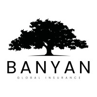 Banyan Global Insurance logo - Similar company to Dynaxe Capital