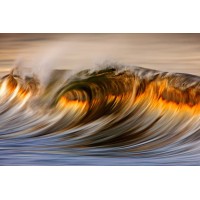 Golden FX Fund logo - Similar company to Amazon Alexa Barcelona