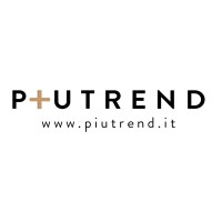 Piutrend logo - Similar company to Next Vision Group ™️