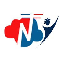 Naren Technology logo - Similar company to Lorang Technologies Private Limited