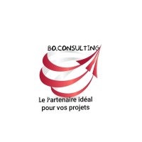 BO CONSULTING logo - Similar company to Nippon Computer Center