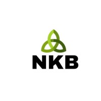 NKB logo - Similar company to Nkb Playtech