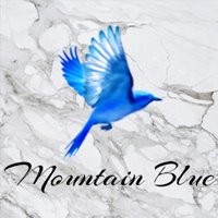 Mountain Blue Jewelry logo - Similar company to Votive