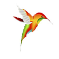 Colibri Distribuidor De Produtos Orientais E Food Servi