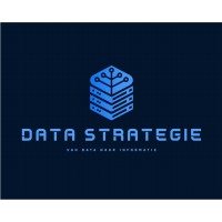 Data Strategie logo - Similar company to Serenit Recruitment