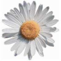 Oxeye Capital Management Limited