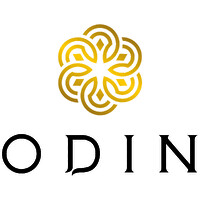 Nassim Odin logo - Similar company to Cqure Byte