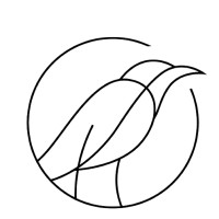 Raven Trusts logo - Similar company to Ben B. Cheney Foundation