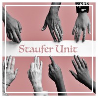 Staufer Unit logo - Similar company to Safeguarding Every Day Ltd