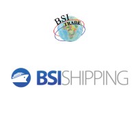 BSI shipping / Trade international BV logo - Similar company to Koren Import & Export B.V.