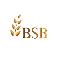 BSB Engineering and Consultancy logo - Similar company to Ies