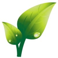 BYS Naturals Aromatik Ürünler San. ve Tic. Ltd. Şti. logo - Similar company to Doshi Enterprise