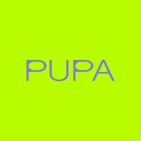 PUPA logo - Similar company to 313 Architects, Uab