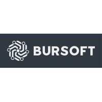 Bursoft Ltd logo