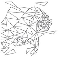 Digital Dorado logo - Similar company to Digital Marketing Pty Ltd