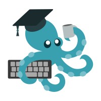 Octopus training and dev logo - Similar company to Agence D-Risque
