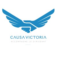 CAUSA VICTORIA logo - Similar company to Pn Electronics