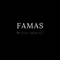 Famas srl logo - Similar company to Famas