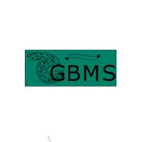 GBMS Ltd logo - Similar company to W.S. Wright Ltd.