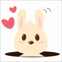 The Travel Bunny logo - Similar company to Vaycarious Black Travel Blog