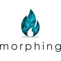 Morphing ADV logo - Similar company to Amweb