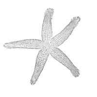 Archipel Évasion logo - Similar company to Kaouann Bretagne